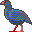 Takahe Icônes