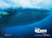 Finding Nemo Fonds d'écran