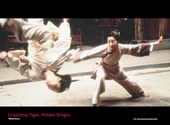Crouching Tiger, Hidden Dragon Fonds d'écran