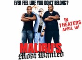 Malibu's Most Wanted Fonds d'écran