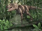 Dinosaure Velociraptor en fôret Fonds d'écran
