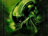 Alien vs predator Fonds d'écran