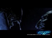 Alien vs predator Fonds d'écran