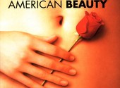 American beauty Fonds d'écran
