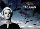 Couverture du film "The Birds" Fonds d'écran