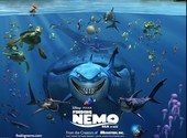 Nemo Fonds d'écran