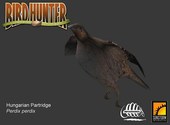 Bird Hunter 2003 Fonds d'écran