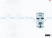 David Beckham soccer Fonds d'écran