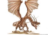 Dragon valor Fonds d'écran
