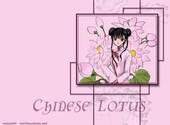 Chinese lotus Fonds d'écran
