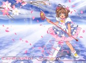 Sakura Fonds d'écran