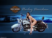 Harley Davidson Fonds d'écran