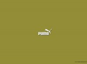 Puma Fonds d'écran