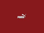 Puma Fonds d'écran