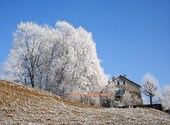 Gruyère La Cantine Givre Maison Arbres (43040)