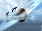 La fugue des dauphins Dessins & Arts divers