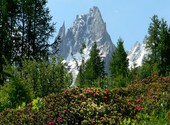 Massif du Mont-Blanc Photos