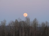 Pleine lune qui se lève