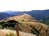 Parc des cevennes