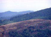 Parc des cevennes Photos