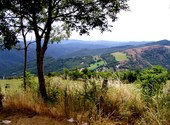 Parc des cevennes