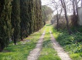 Chemin montpellier