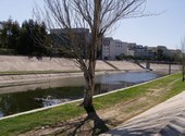 Chemin montpellier le bord du lez