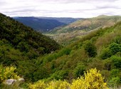 Montagne de montvert