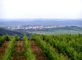 Point de vue rte de roujan