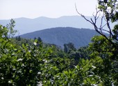 Montagne du viganais