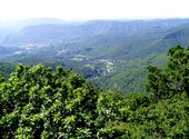 Vue panoramique sur la forêt Photos