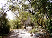 Ruine la roque sur ceze