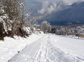 Neige sur Annecy