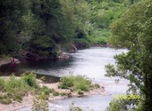 Au bord de la cèze