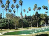 Bassin et palmiers, jardin d'essai - alger Fonds d'écran