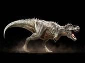 Tyrannosaurus rex Fonds d'écran