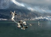 Annecy, son lac ... Photos