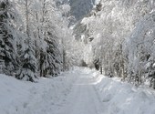Une petite route d'hiver Photos