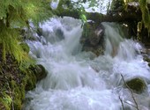 Un petit torrent à fort débit