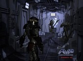 Alien vs predator : intruders Fonds d'écran