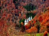 Chateau en automne Photos