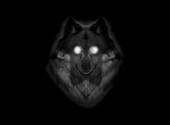Wolf ghost Fonds d'écran