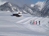Cours de ski de fond Photos