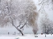 Annecy sous la neige Photos