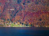 Lac d'annecy en automne Photos
