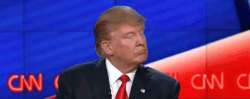 Donald Trump 1 Gifs animés