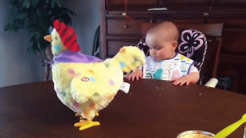 Bébé surpris par une poule qui pond Gifs animés