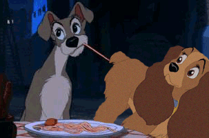 La Belle et le Clochard - Spaghetti Incident Gifs animés