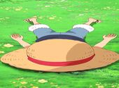 One Piece - Monkey D Luffy dans l'herbe Fonds d'écran
