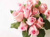 Des Roses pour la Saint-Valentin